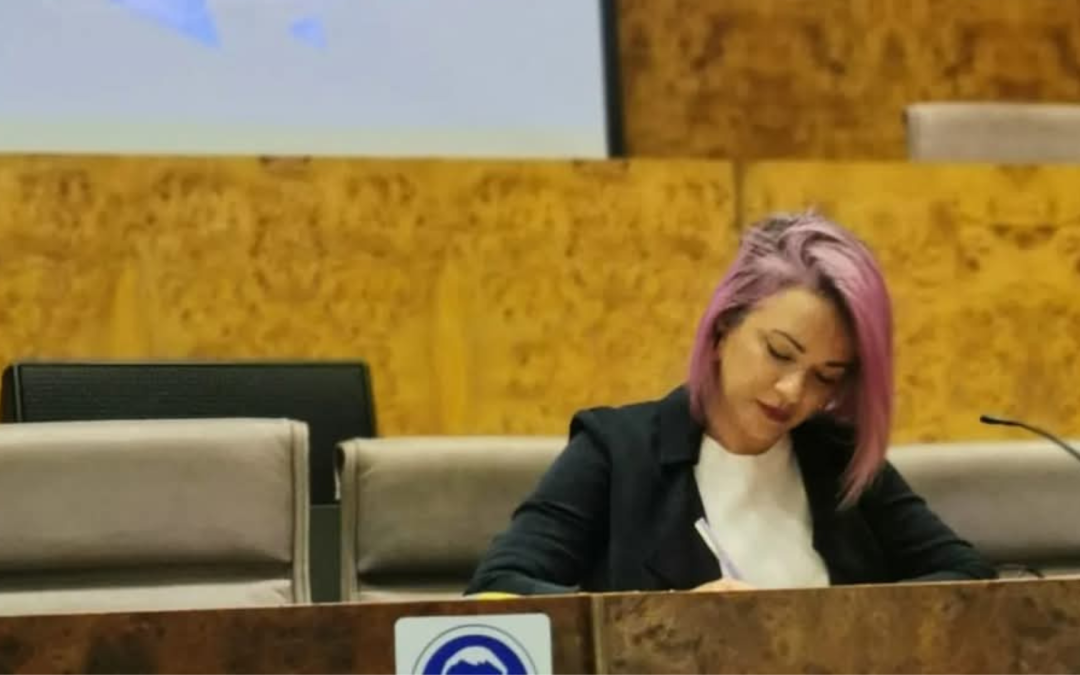 Fondos del Pacto de Estado sin resolver en Canarias: mi investigación sobre videojuegos en pausa